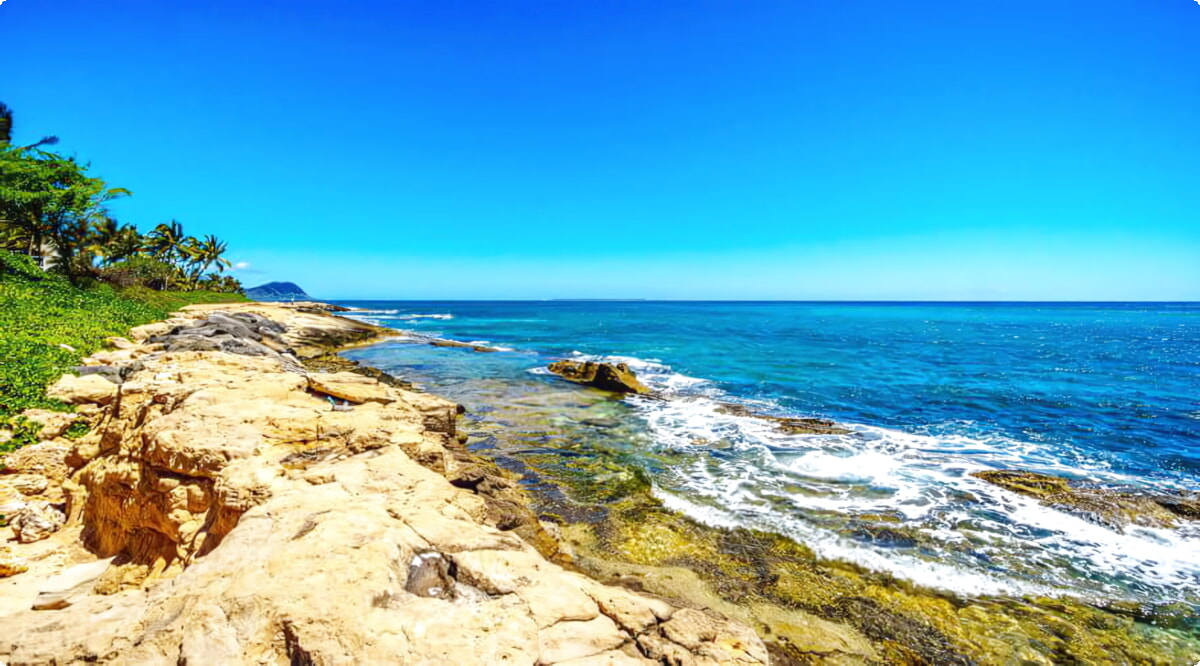 ¿Cuáles son las opciones de vehículos más populares en Kapolei?